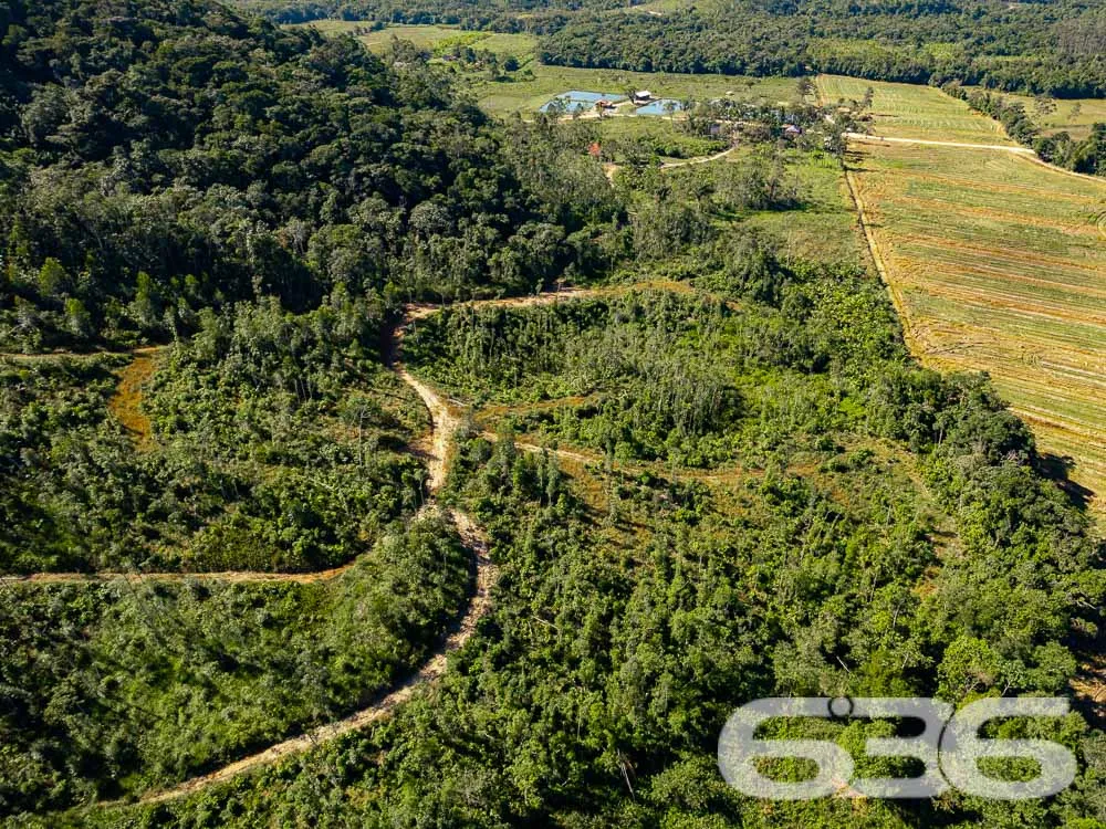 VENDE-SE AMPLA CHÁCARA EM SÃO FRANCISCO DO SUL!
I