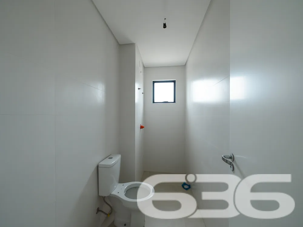 Descubra o privilégio de viver em harmonia com o c