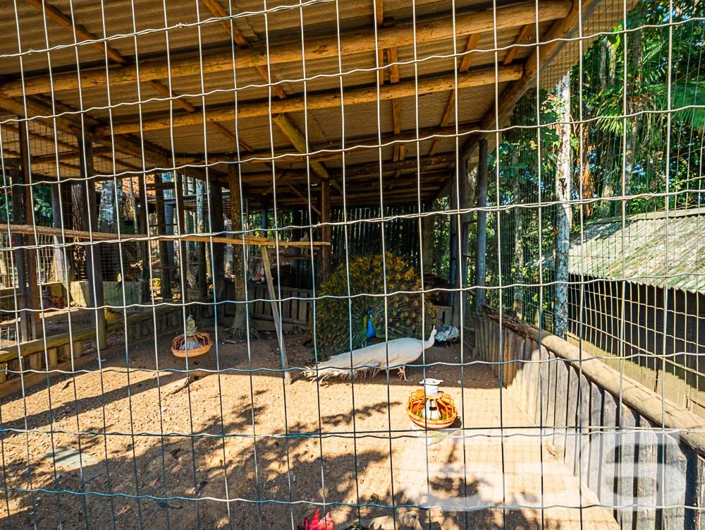 OPORTUNIDADE IMPERDÍVEL! RECREATIVA LUCRATIVA EM A