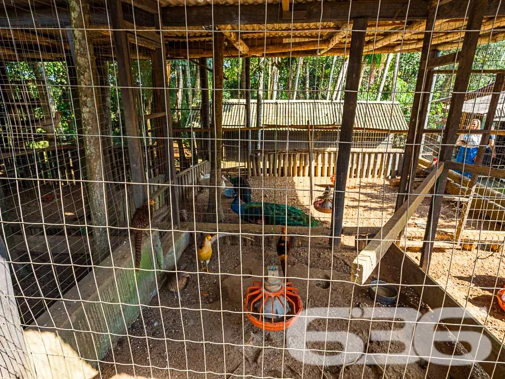 OPORTUNIDADE IMPERDÍVEL! RECREATIVA LUCRATIVA EM A