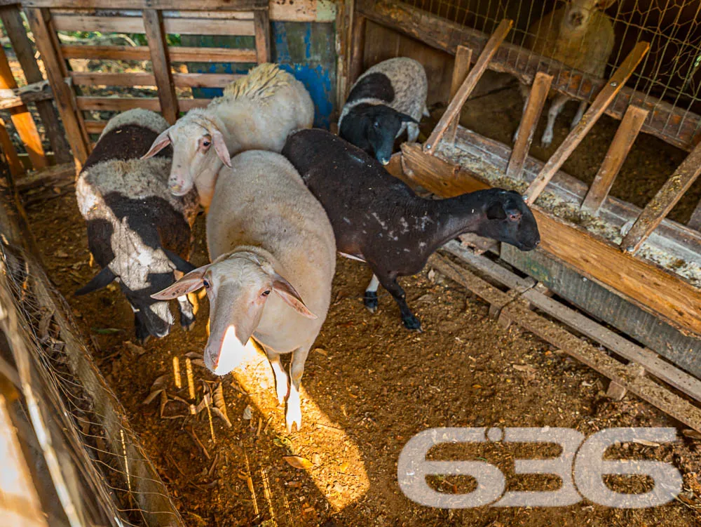 OPORTUNIDADE IMPERDÍVEL! RECREATIVA LUCRATIVA EM A