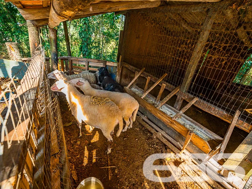 OPORTUNIDADE IMPERDÍVEL! RECREATIVA LUCRATIVA EM A