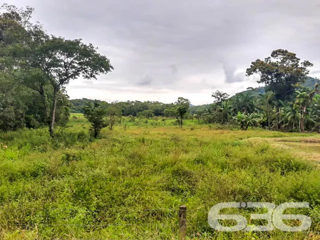 AMPLA CHÁCARA NO BAIRRO VILA NOVA
Dispondo de imp