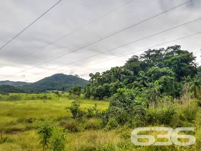 AMPLA CHÁCARA NO BAIRRO VILA NOVA
Dispondo de imp