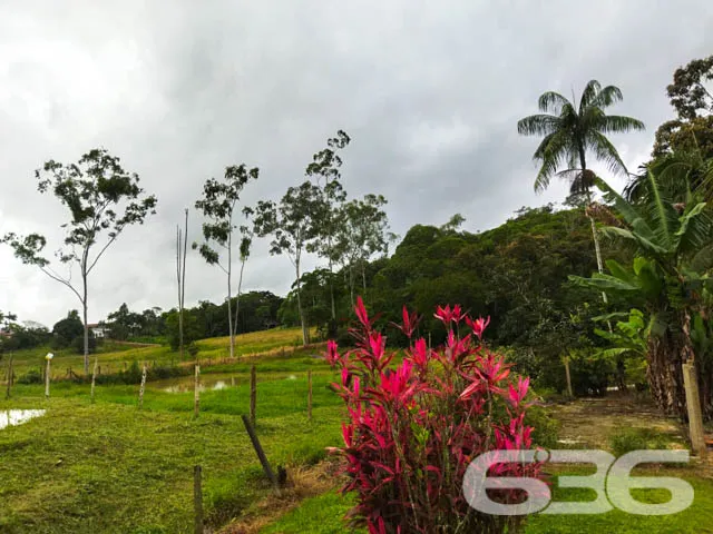 AMPLA CHÁCARA NO BAIRRO VILA NOVA
Dispondo de imp