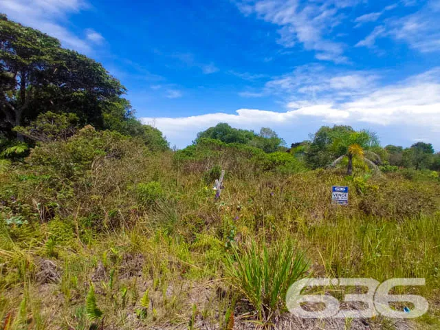 APROVEITE ESTE TERRENO NO ERVINO!
Este é o lote p