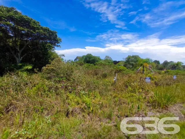 APROVEITE ESTE TERRENO NO ERVINO!
Este é o lote p