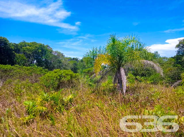 APROVEITE ESTE TERRENO NO ERVINO!
Este é o lote p