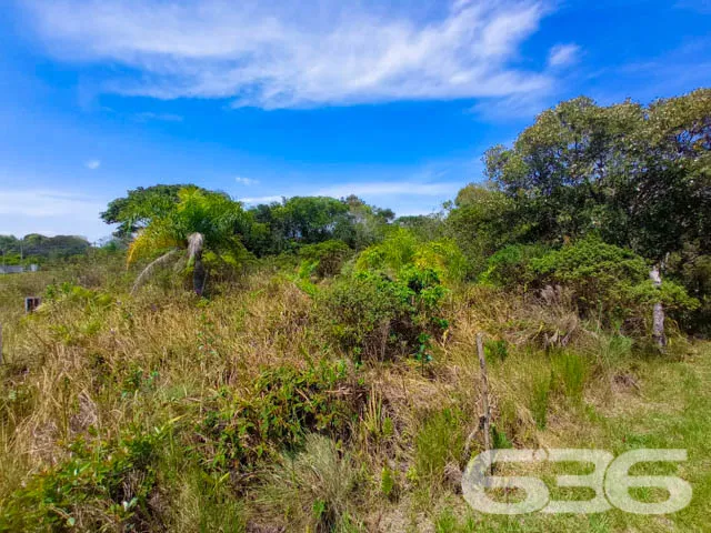 APROVEITE ESTE TERRENO NO ERVINO!
Este é o lote p