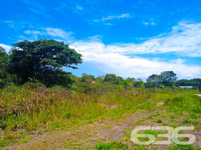 APROVEITE ESTE TERRENO NO ERVINO!
Este é o lote p