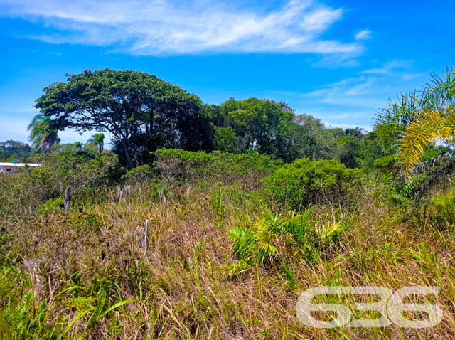 APROVEITE ESTE TERRENO NO ERVINO!
Este é o lote p