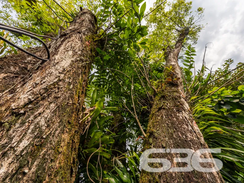 Chácara à venda no bairro Quirirí, Joinville | 2 c