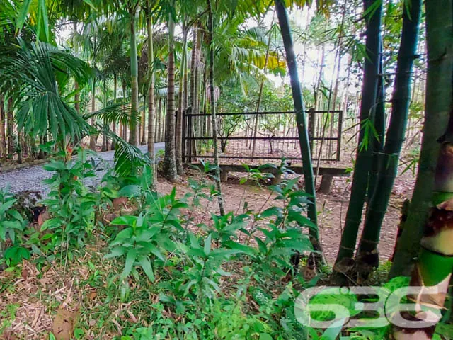 CONHEÇA ESTA CHÁCARA COM 4 QUARTOS EM PIRABEIRABA