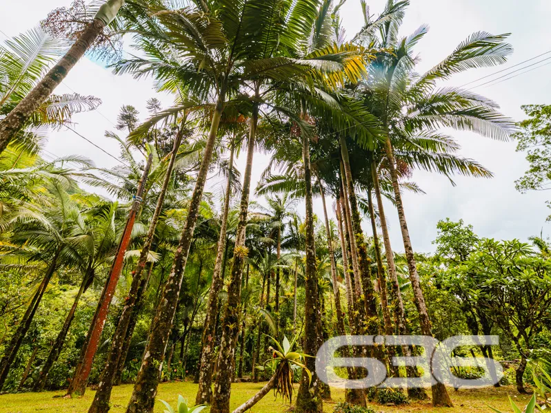 Se você procura chácara à venda no distrito de Pir