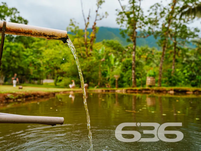 Se você procura chácara à venda no distrito de Pir