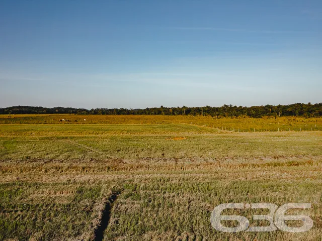 Descubra o potencial deste magnífico terreno à ven