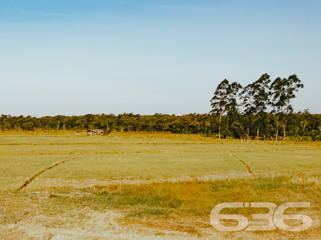 Descubra o potencial deste magnífico terreno à ven