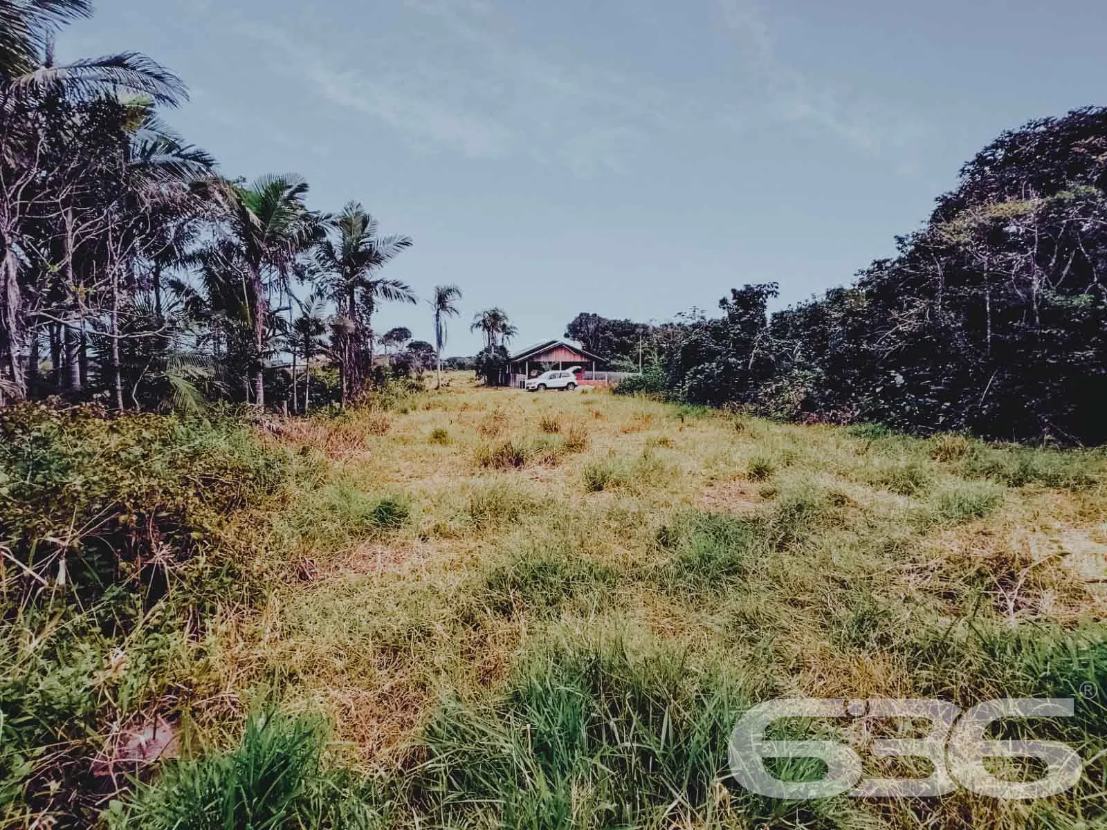 LOTE À VENDA EM SÃO FRANCISCO DO SUL, SANTA CATARI