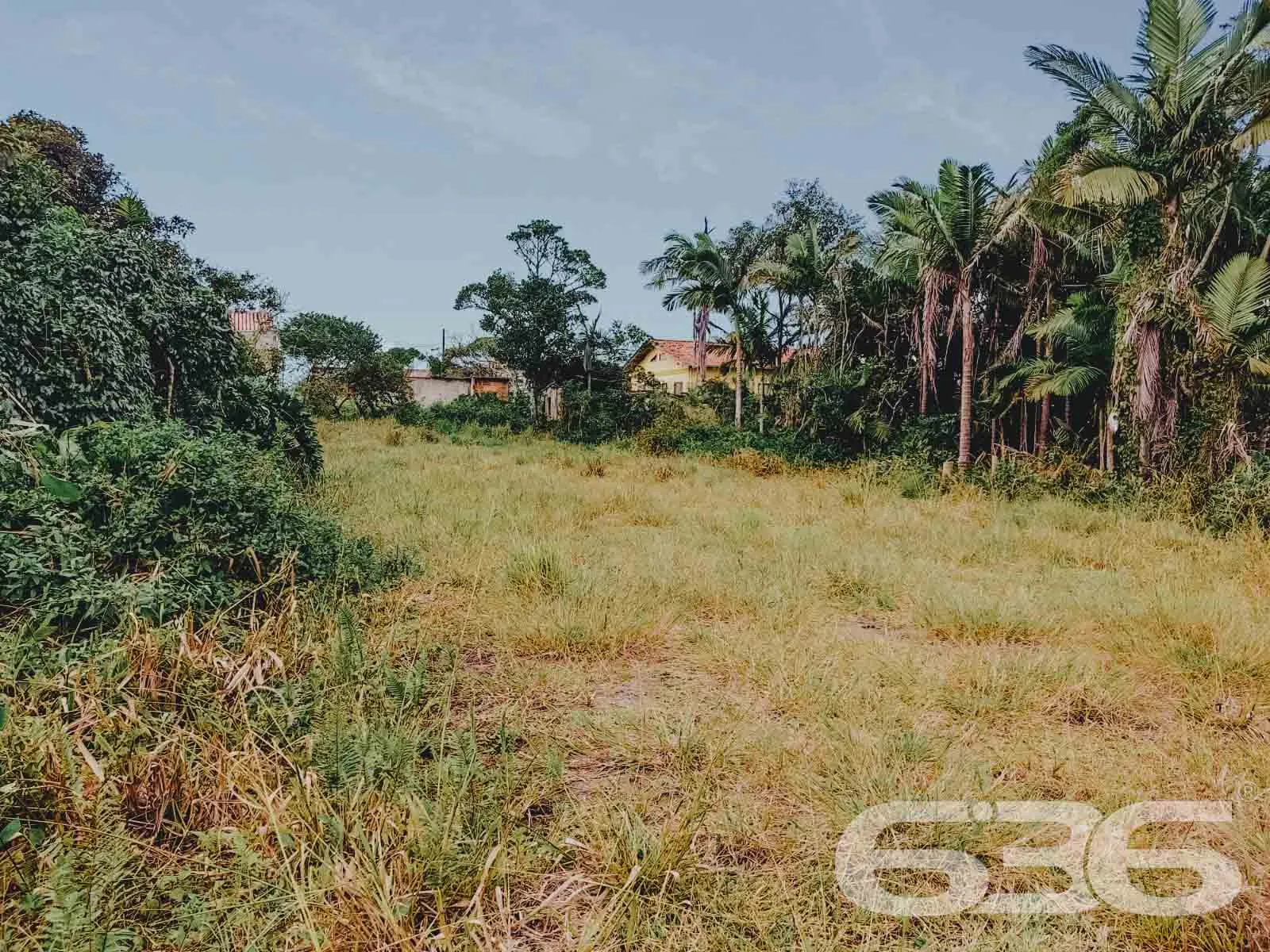 LOTE À VENDA EM SÃO FRANCISCO DO SUL, SANTA CATARI
