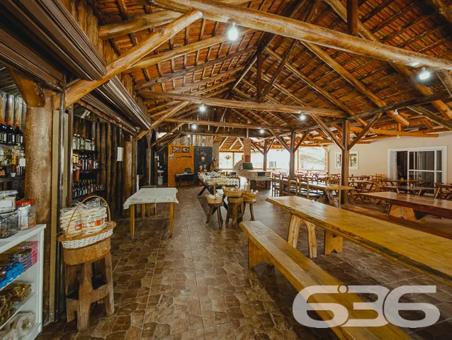 INVISTA EM PIRABEIRABA - ÓTIMA CHÁCARA

Você procu