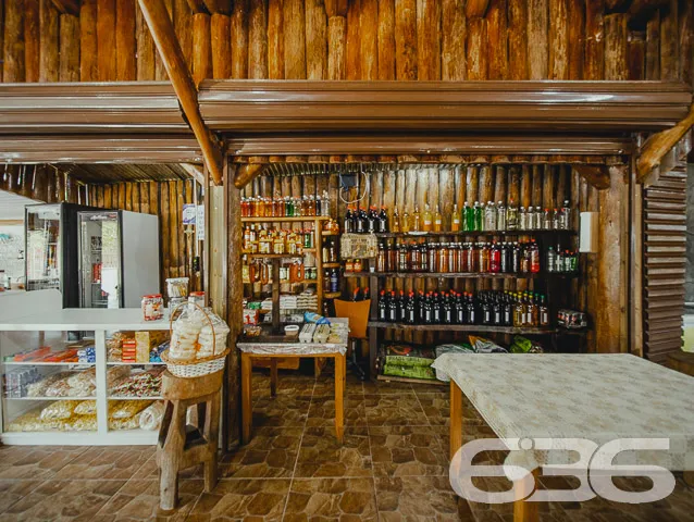 INVISTA EM PIRABEIRABA - ÓTIMA CHÁCARA

Você procu