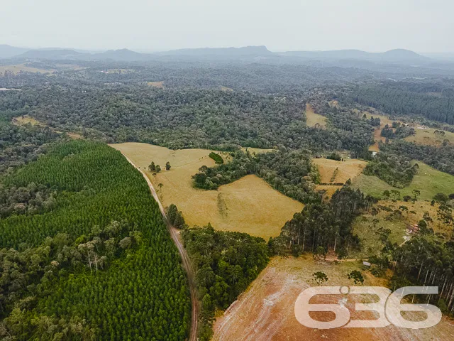 Descubra a Chácara dos Seus Sonhos em Campo Alegre