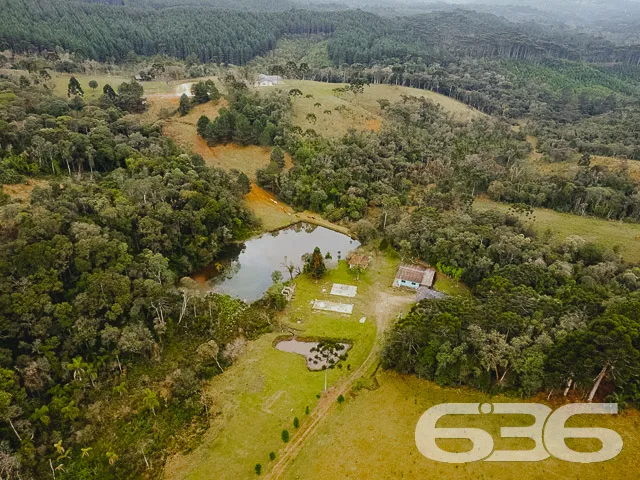 Descubra a Chácara dos Seus Sonhos em Campo Alegre