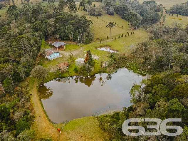 Descubra a Chácara dos Seus Sonhos em Campo Alegre