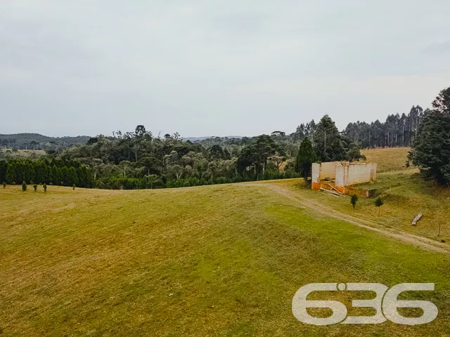 Descubra a Chácara dos Seus Sonhos em Campo Alegre