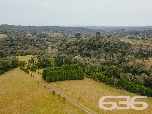 Descubra a Chácara dos Seus Sonhos em Campo Alegre