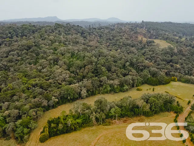 Descubra a Chácara dos Seus Sonhos em Campo Alegre