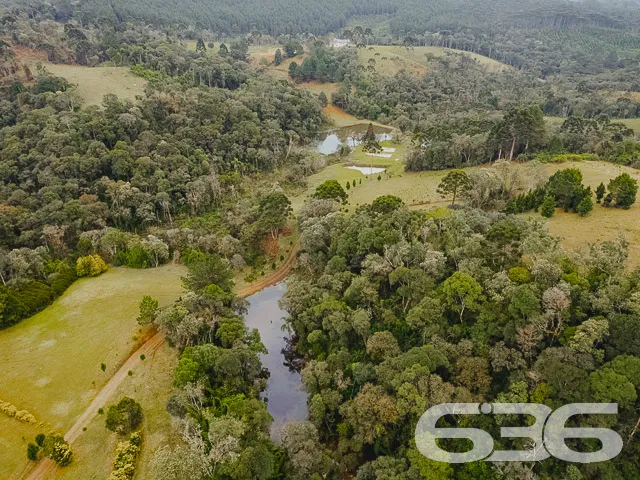 Descubra a Chácara dos Seus Sonhos em Campo Alegre