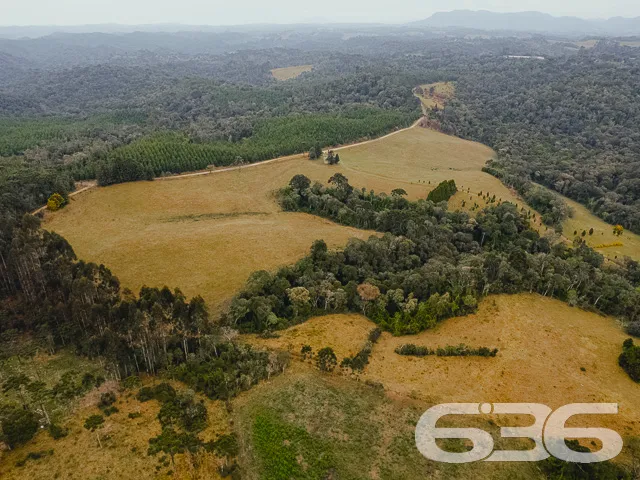 Descubra a Chácara dos Seus Sonhos em Campo Alegre