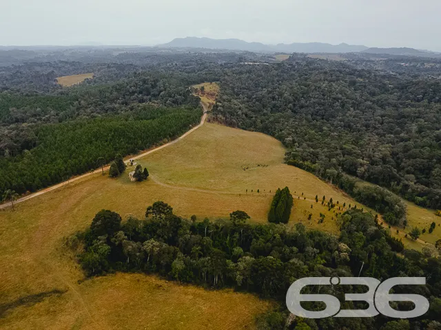 Descubra a Chácara dos Seus Sonhos em Campo Alegre