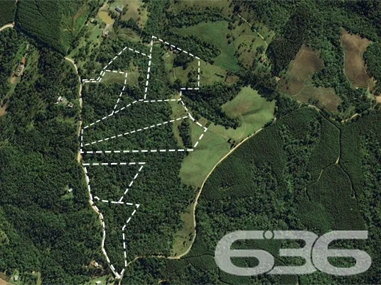 Descubra a Chácara dos Seus Sonhos em Campo Alegre