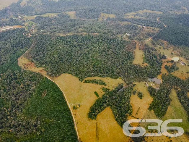 VENDE-SE SÍTIO COM 30.000m² EM CAMPO ALEGRE

Descu