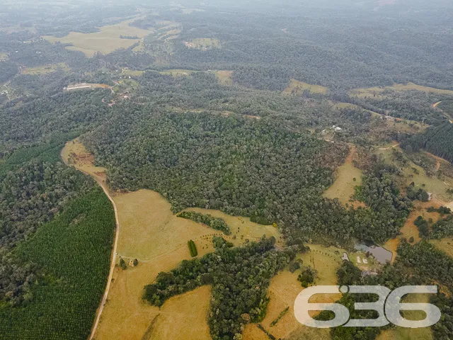 VENDE-SE SÍTIO COM 30.000m² EM CAMPO ALEGRE

Descu