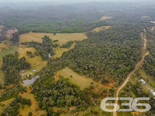 VENDE-SE SÍTIO COM 30.000m² EM CAMPO ALEGRE

Descu