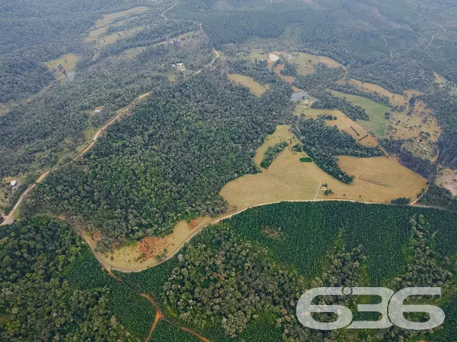 VENDE-SE SÍTIO COM 30.000m² EM CAMPO ALEGRE

Descu