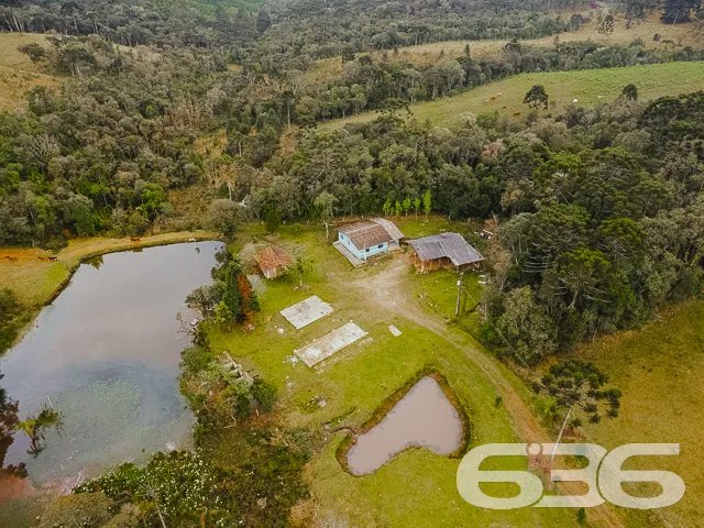 VENDE-SE SÍTIO COM 30.000m² EM CAMPO ALEGRE

Descu