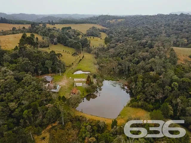 VENDE-SE SÍTIO COM 30.000m² EM CAMPO ALEGRE

Descu