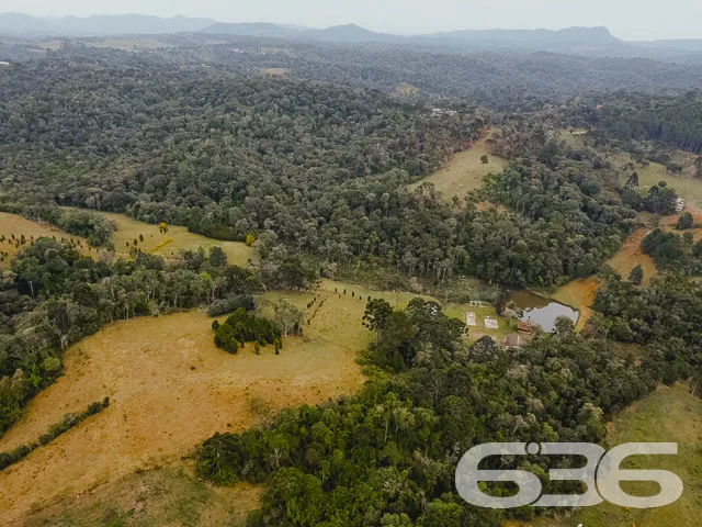 VENDE-SE SÍTIO COM 30.000m² EM CAMPO ALEGRE

Descu