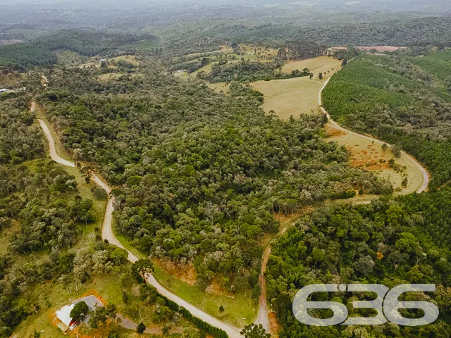 VENDE-SE SÍTIO COM 30.000m² EM CAMPO ALEGRE

Descu