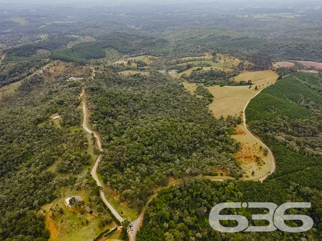 VENDE-SE SÍTIO COM 30.000m² EM CAMPO ALEGRE

Descu