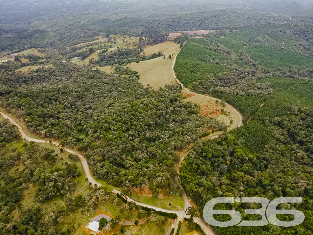 VENDE-SE SÍTIO COM 30.000m² EM CAMPO ALEGRE

Descu