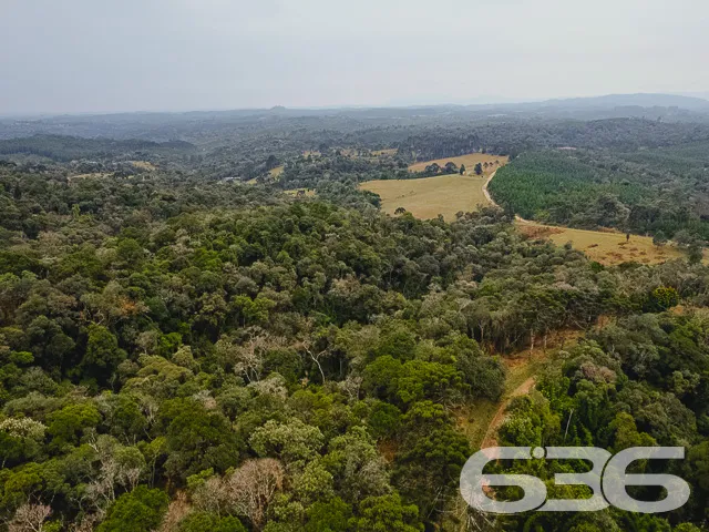 VENDE-SE SÍTIO COM 30.000m² EM CAMPO ALEGRE

Descu