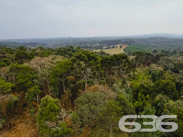 VENDE-SE SÍTIO COM 30.000m² EM CAMPO ALEGRE

Descu