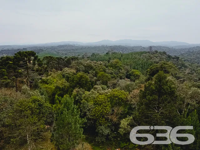 VENDE-SE SÍTIO COM 30.000m² EM CAMPO ALEGRE

Descu