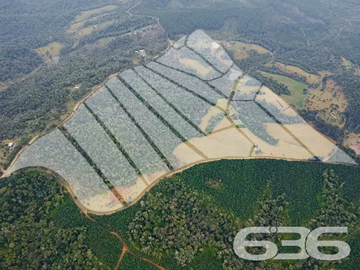 VENDE-SE SÍTIO COM 30.000m² EM CAMPO ALEGRE

Descu