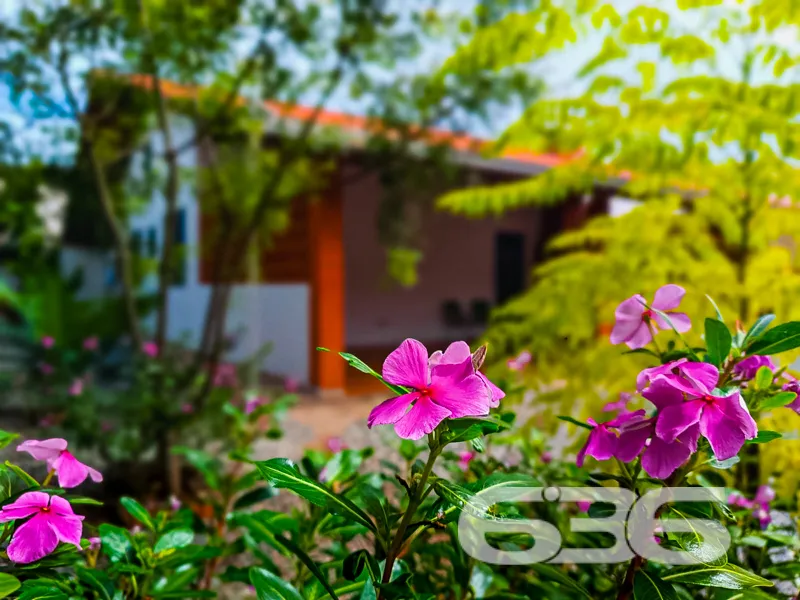 IMÓVEL COM 3 QUARTOS NA PRAIA DE UBATUBA

Esta é u